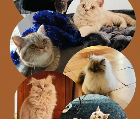 Dans Maison Basque Typique Amendeuix-Oneix